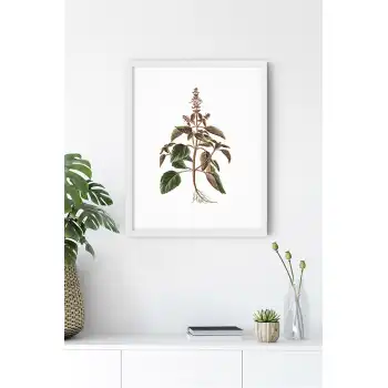 Yaprak No:24 Poster Tablo