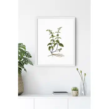 Yaprak No:7 Poster Tablo