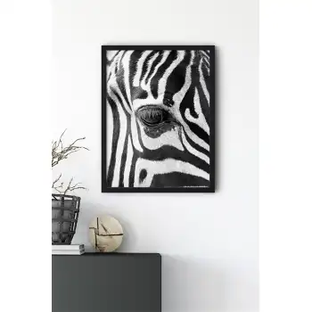 Zebra No:1 Poster Tablo