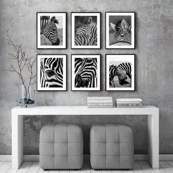 Zebra 6’lı Poster Tablo Seti