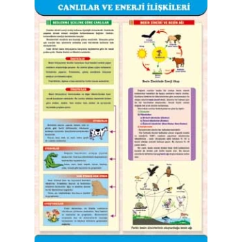 Canlılar ve Enerji İlişkileri Afişi