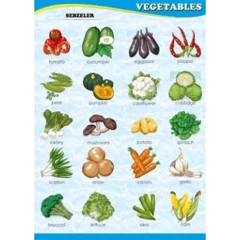 Vegetables Poster