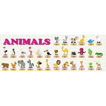 Animals