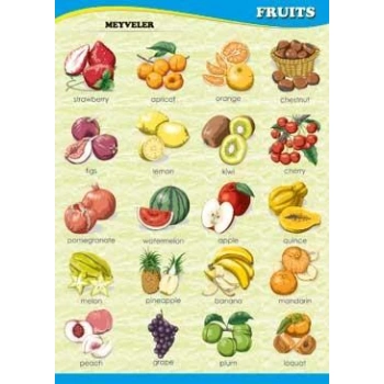 Fruits Poster