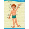 Our Body Poster