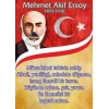 Mehmet Akif Posterleri