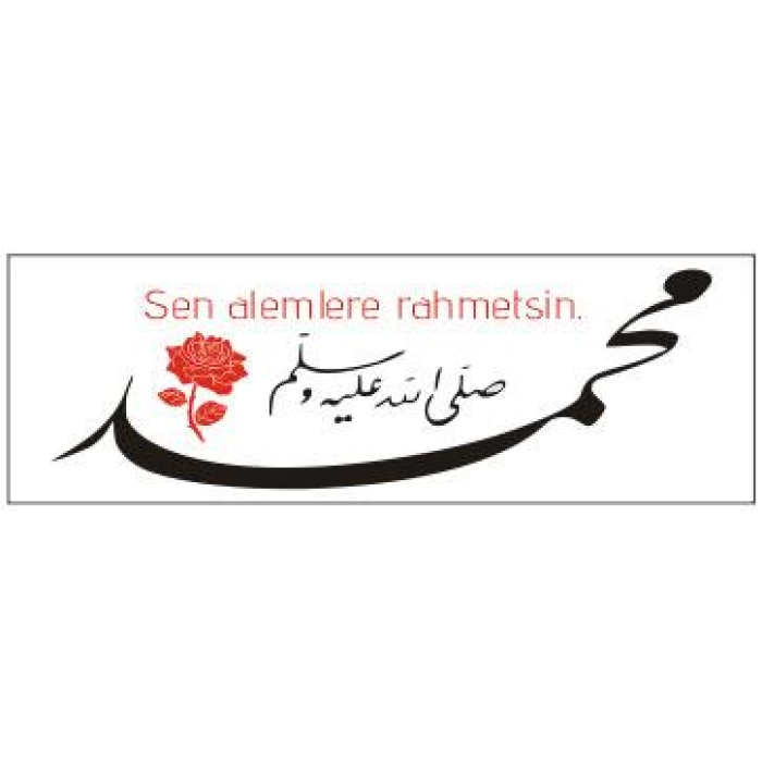 Sen Alemlere Rahmetsin