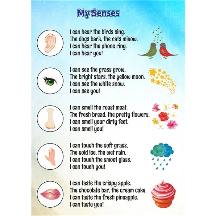 My Senses