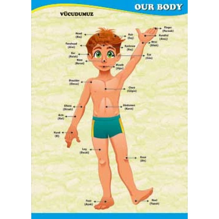 Our Body Poster