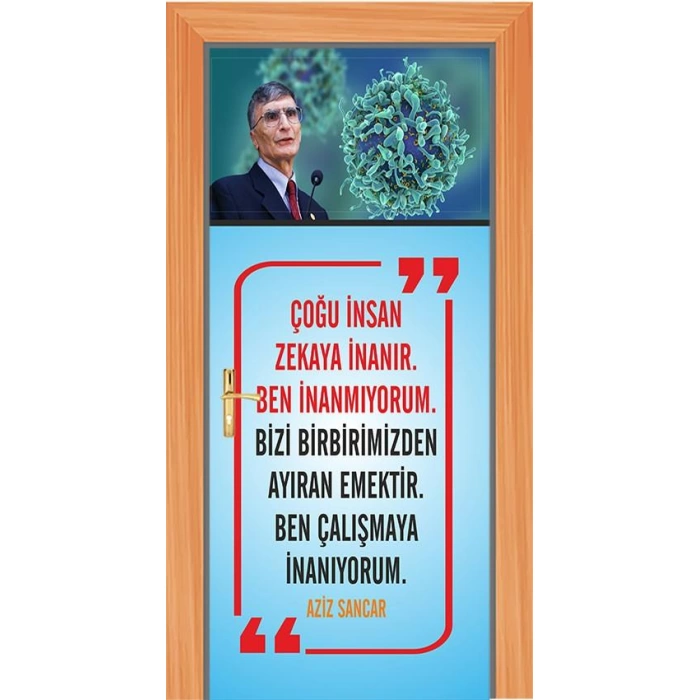 Aziz Sancar Kapı Giydirme