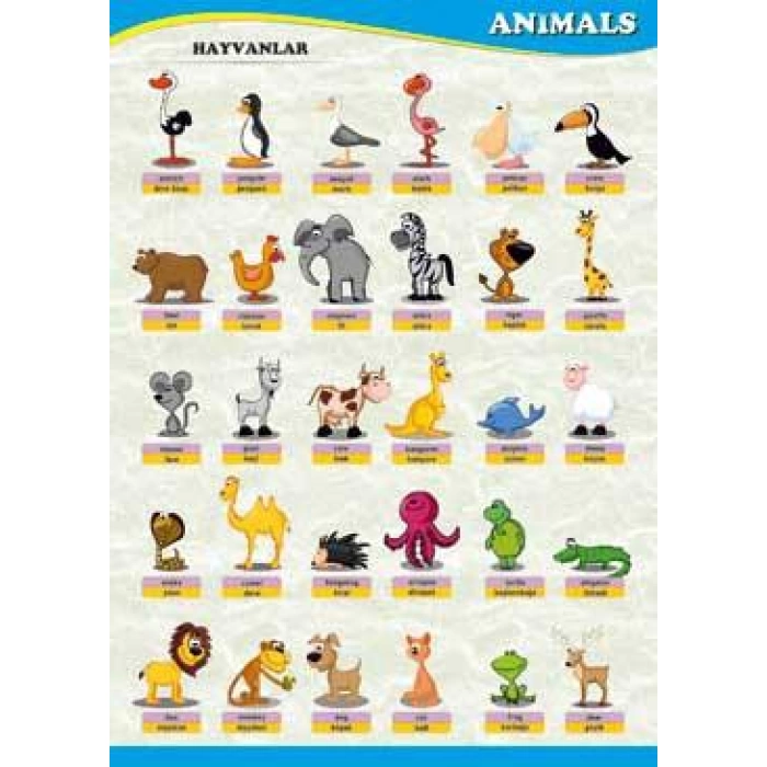 Animals Poster