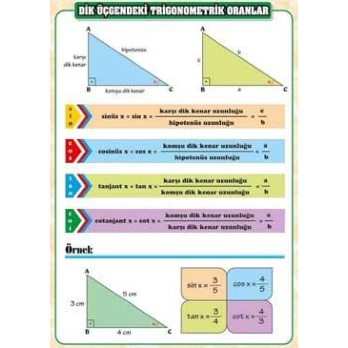 Dik Üçgendeki Trigonometrik Oranlar Afişi