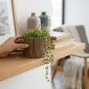 3D Baskı Ahşap Dokulu Kütük Saksı ve Kalemlik - Özel Hediye Kutulu