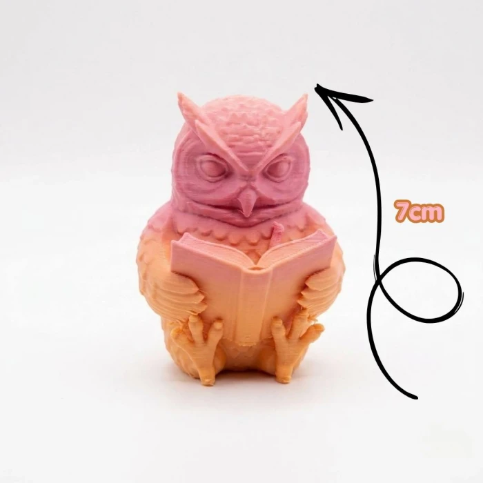 Ürün Başlığı Bilge Baykuş Kitap Okuyan 3D Figür ve Sticker Seti – Öğrenci Ödül Hediyesi | Karne ve Yıl Sonu Sınıf Hediyesi | 7cm