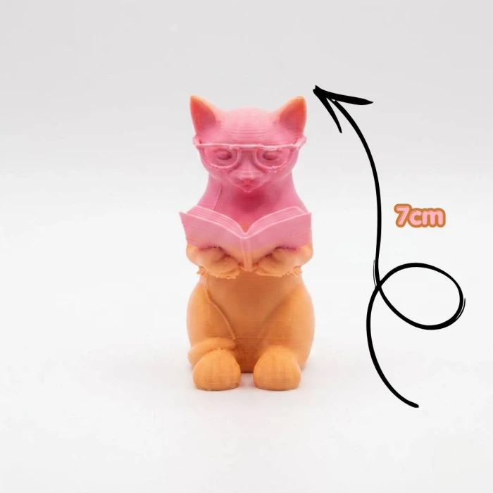 Meraklı Kedi Kitap Okuyan 3D Figür ve Sticker Seti – Öğrenci Ödül Hediyesi | Karne ve Yıl Sonu Sınıf Hediyesi | 7cm