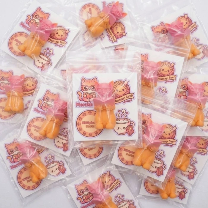Meraklı Kedi Kitap Okuyan 3D Figür ve Sticker Seti – Öğrenci Ödül Hediyesi | Karne ve Yıl Sonu Sınıf Hediyesi | 7cm