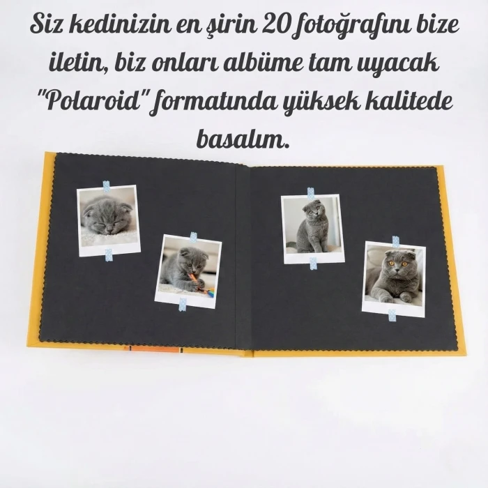 Kedim ve Ben: Fotoğraf Baskılı ve İsimli Kedi Anı Albümü (Kalem Hediyeli)