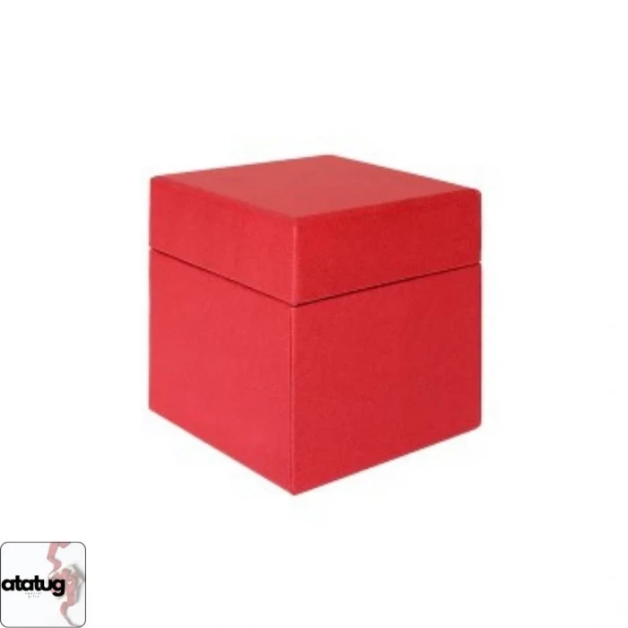 Sihirli İpli Mandallı Polaroid Kırmızı Fotoğraf Kutusu