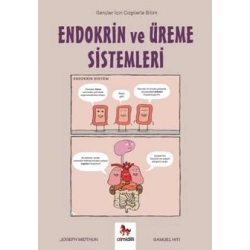 Endokrin ve Üreme Sistemleri – Gençler İçin Çizgilerle Bilim