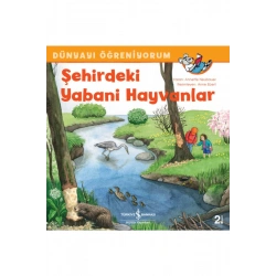 Şehirdeki Yabani Hayvanlar - Dünyayı Öğreniyorum