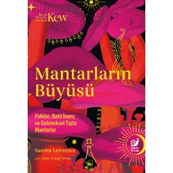 Mantarların Büyüsü
