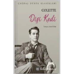 Dişi Kedi