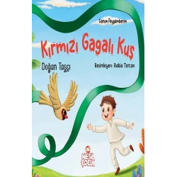 Kırmızı Gagalı Kuş