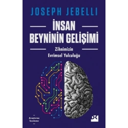 İnsan Beyninin Gelişimi