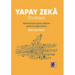 Yapay Zeka Stratejisi