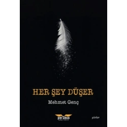 Her Şey Düşer