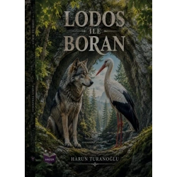 Lodos İle Boran