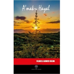 Amak-ı Hayal