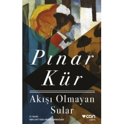 Akışı Olmayan Sular