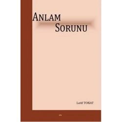 Anlam Sorunu
