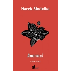 Anormal