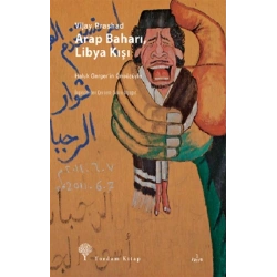 Arap Baharı, Libya Kışı
