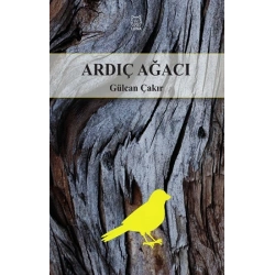 Ardıç Ağacı