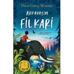 Arkadaşım Fil Kari