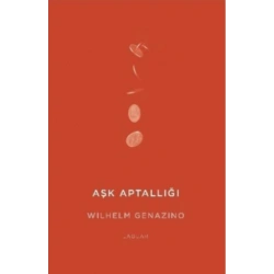 Aşk Aptallığı