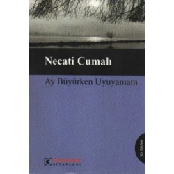 Ay Büyürken Uyuyamam