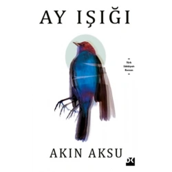 Ay Işığı