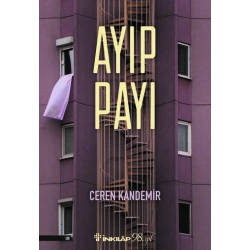 Ayıp Payı