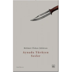 Aynada Yürüyen Sesler