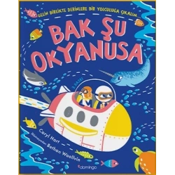 Bak Şu Okyanusa