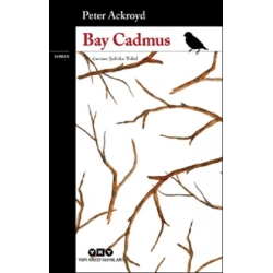 Bay Cadmus