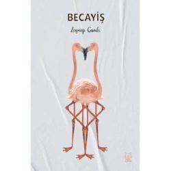 Becayiş
