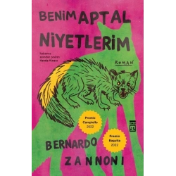 Benim Aptal Niyetlerim