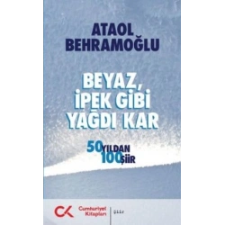 Beyaz İpek Gibi Yağdı Kar