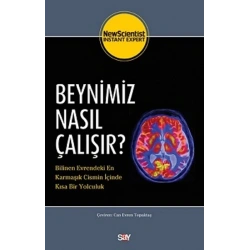 Beynimiz Nasıl Çalışır?