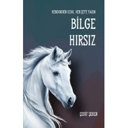 Bilge Hırsız